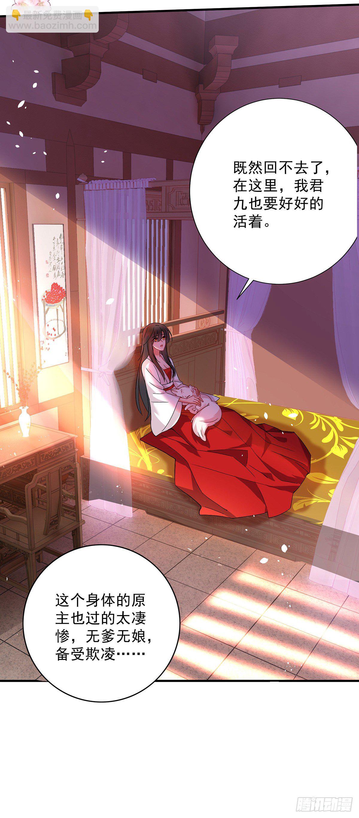 我在異界養男神：神醫九小姐 - 第14話 原主前生 - 1