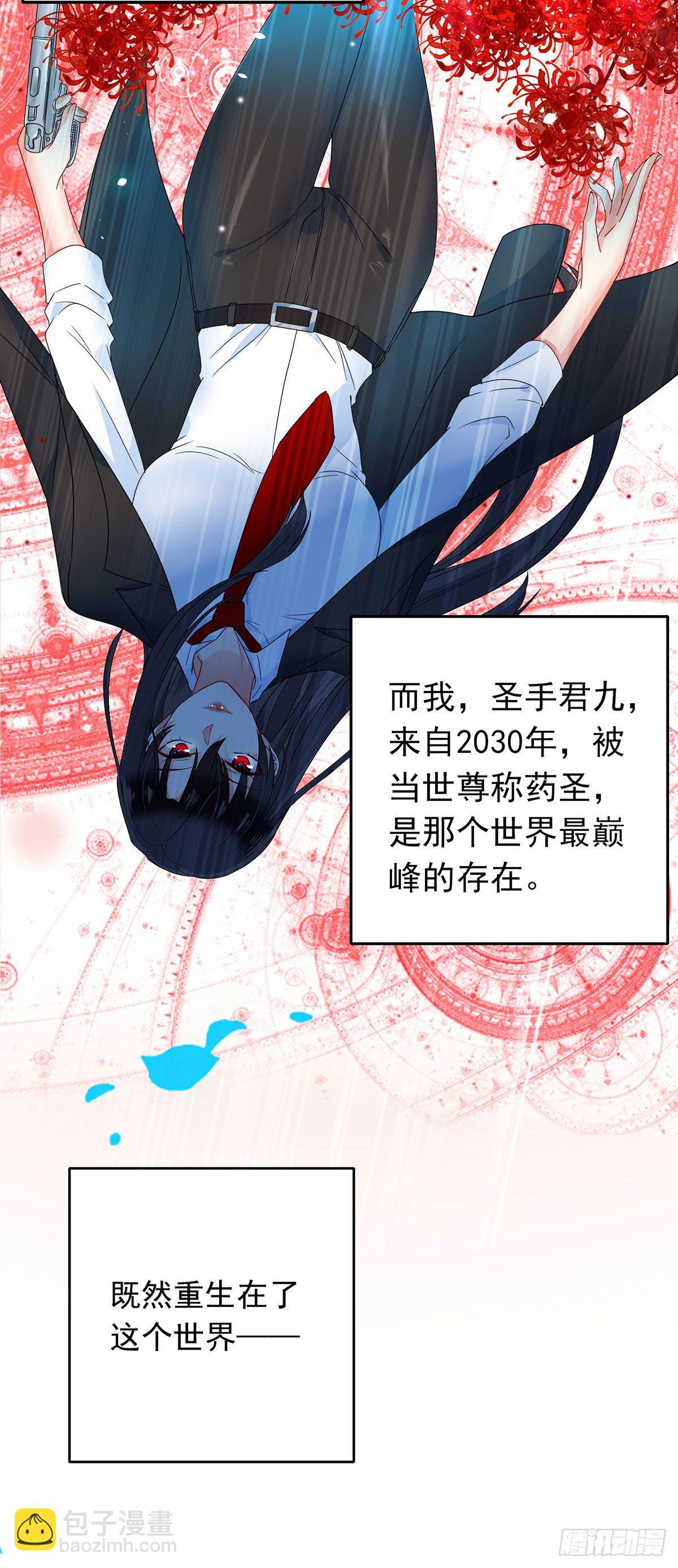 我在異界養男神：神醫九小姐 - 第2話 異界重生 - 3