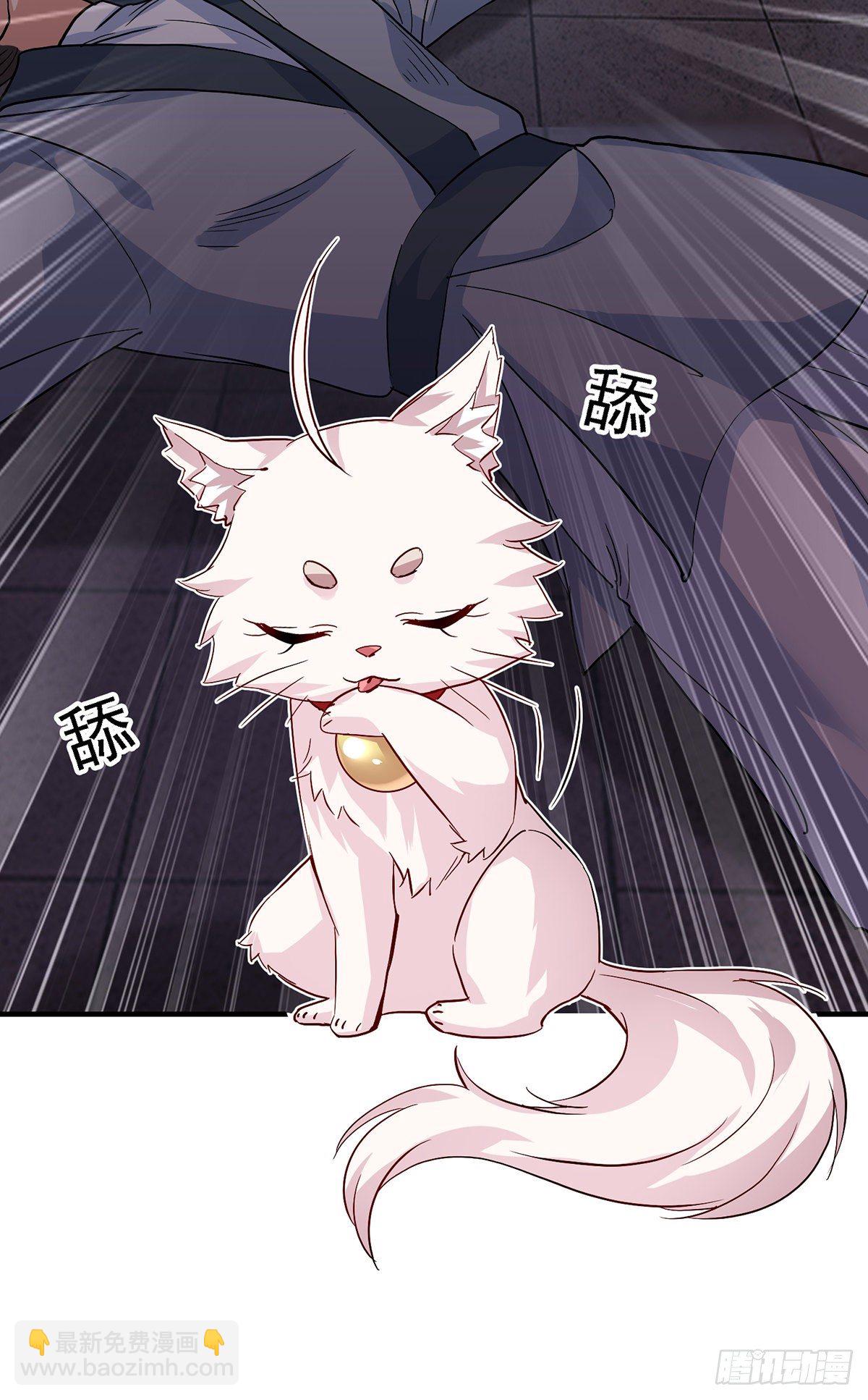 我在異界養男神：神醫九小姐 - 第22話 善惡輪迴 - 4