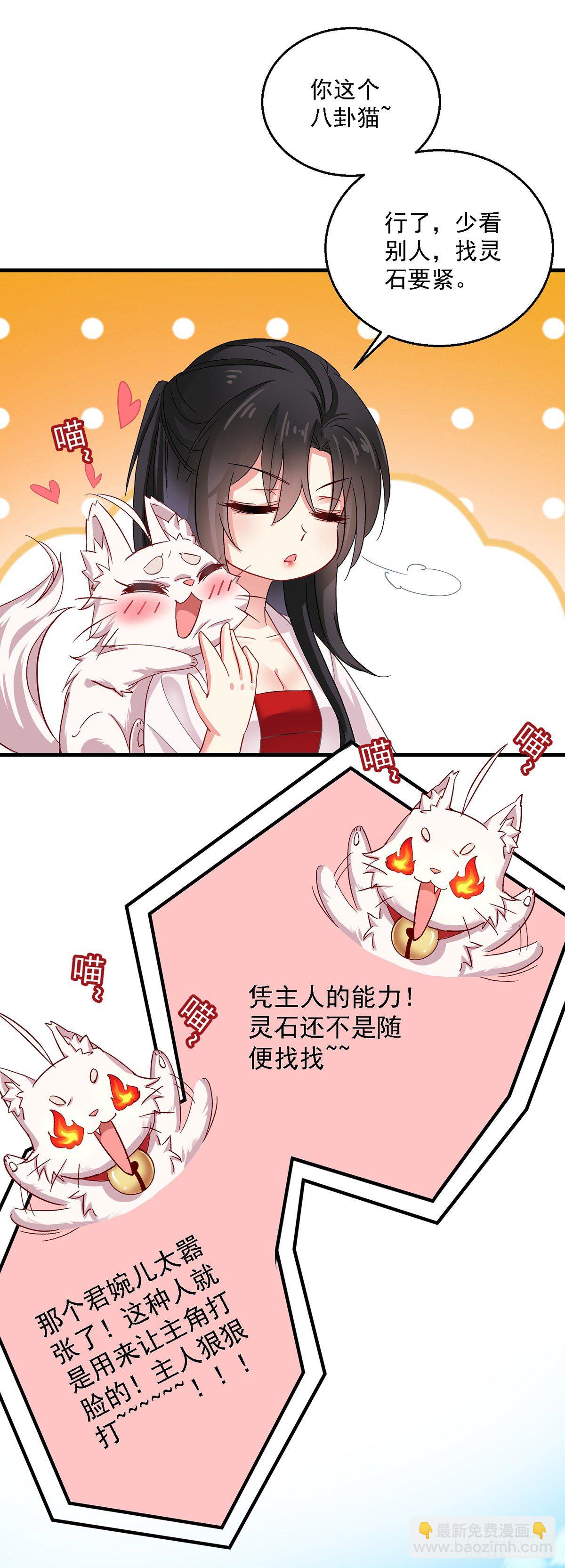 我在異界養男神：神醫九小姐 - 第26話 解石 - 4