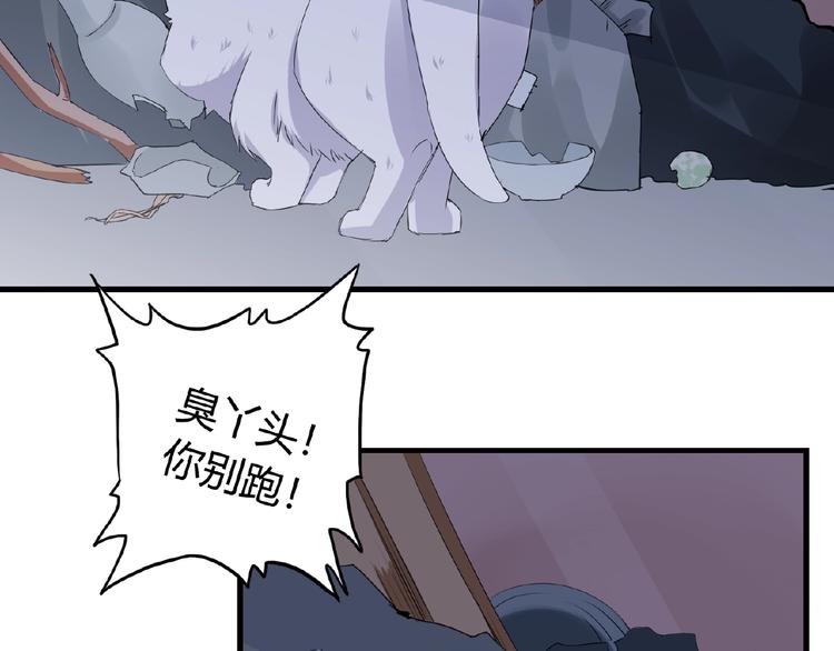 第43话 猫妖的执念(1/2)-第43话