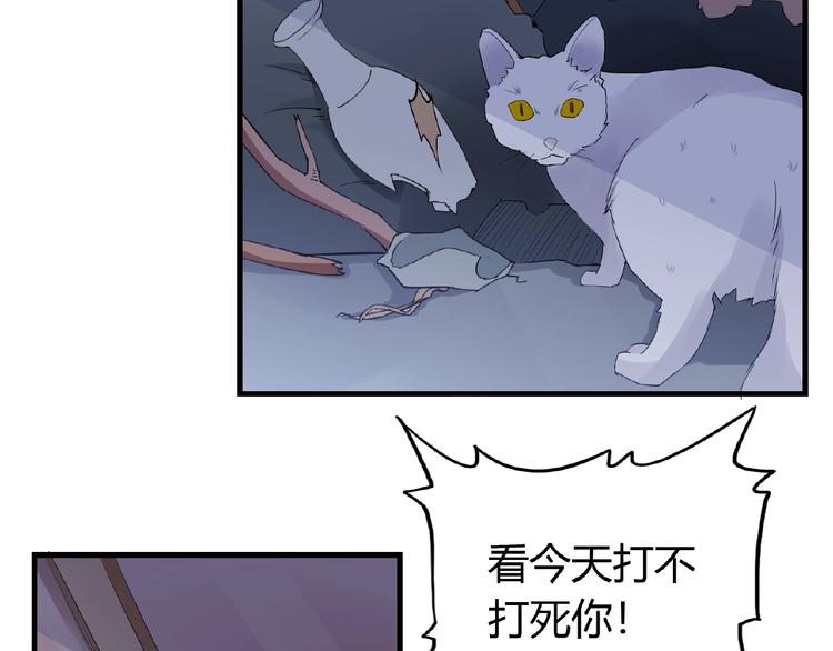 第43话 猫妖的执念(1/2)-第43话