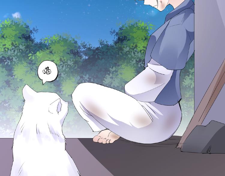 第43话 猫妖的执念(1/2)-第43话