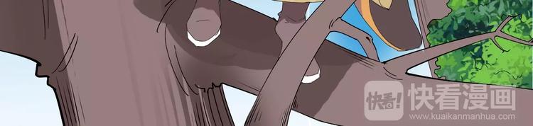 第9话 神鸟现世！(1/3)-第9话