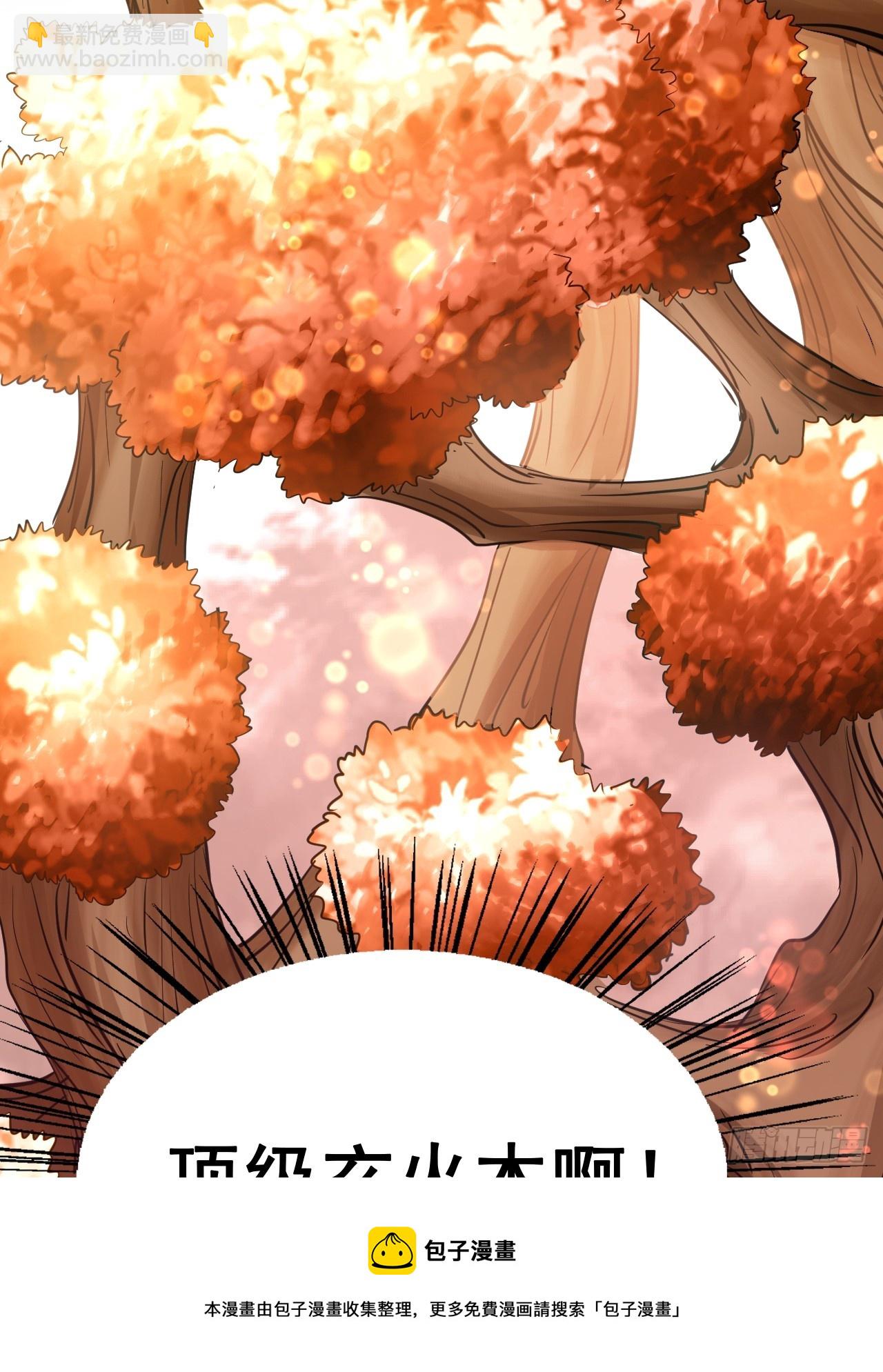 第2话 &rdquo;身娇体弱&ldquo;的大小姐(1/3)-第3话