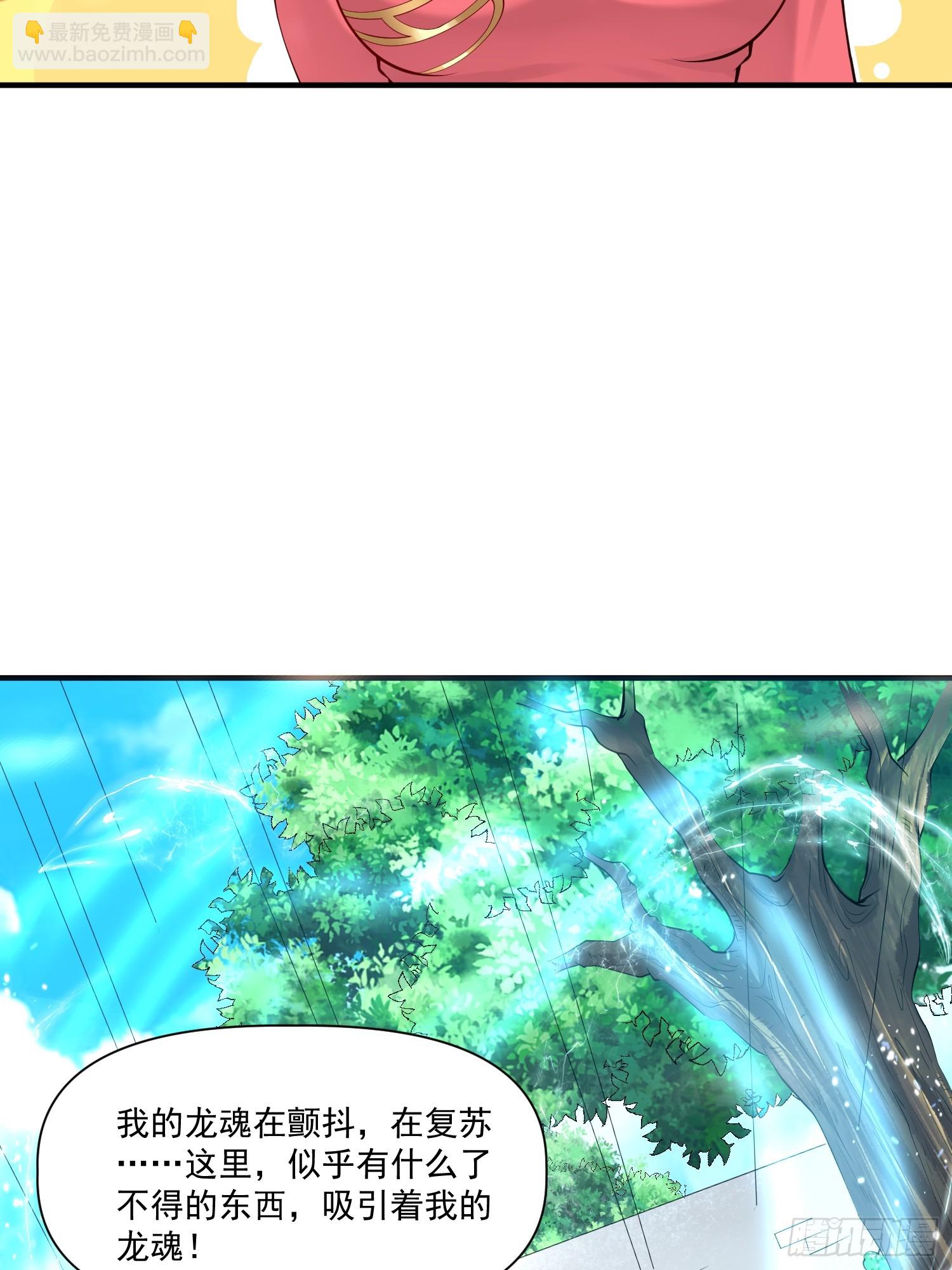 第32话 种仙药！养真龙！-第33话