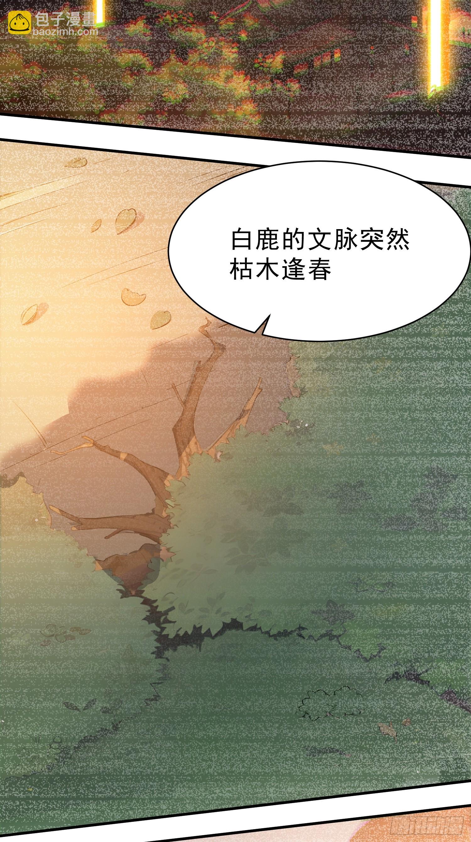 64    玲珑的愿望(1/2)-第65话