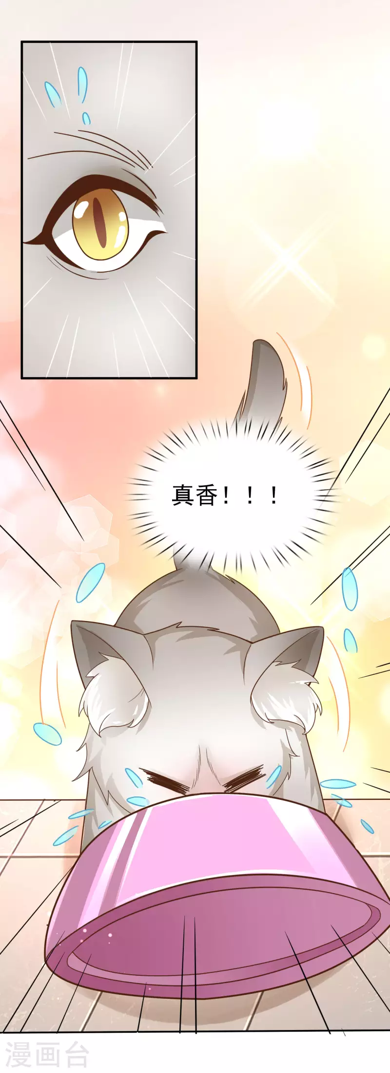 第11话 猫的福利你想象不到-第13话