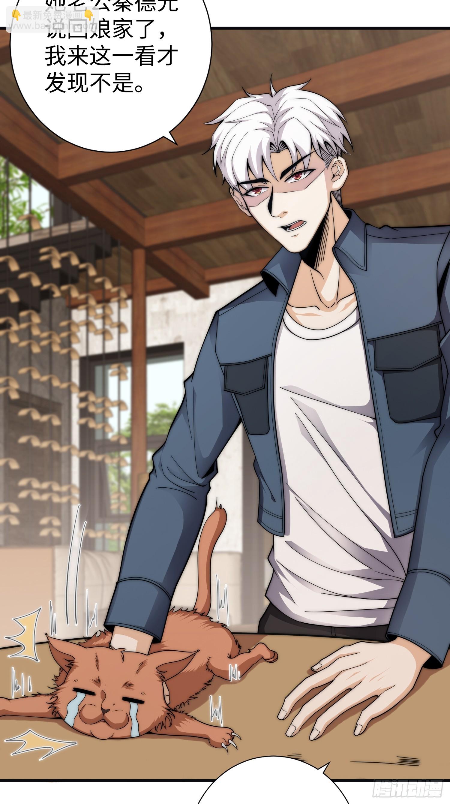 042 审判猫咪-第43话