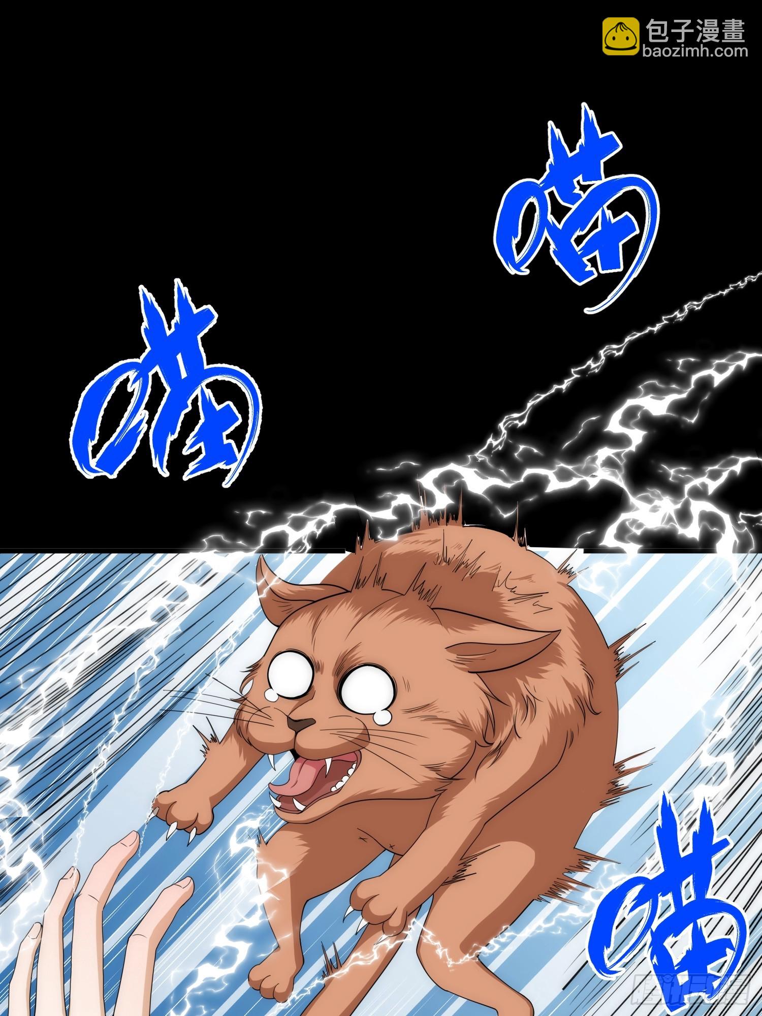 042 审判猫咪-第43话