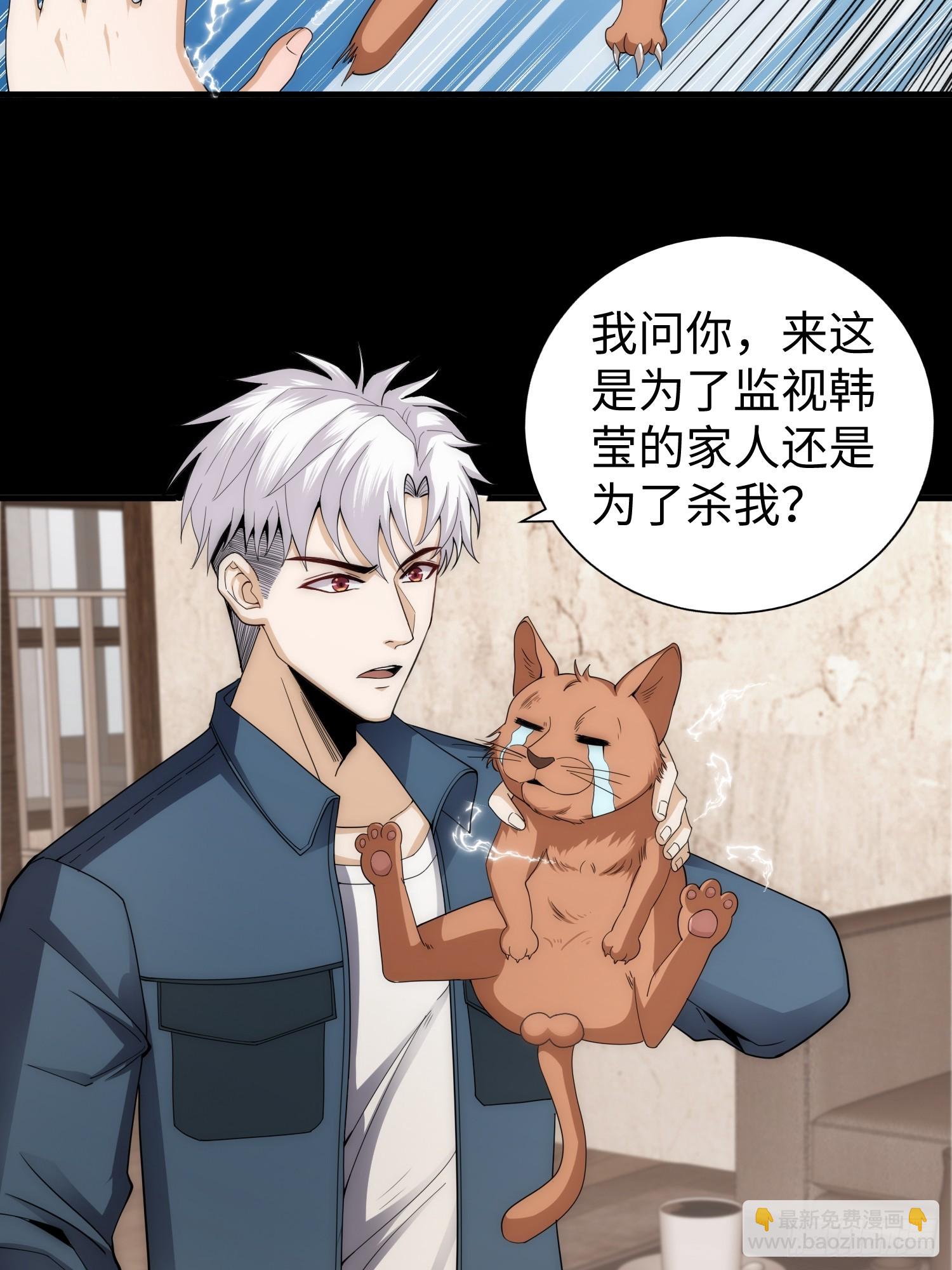 042 审判猫咪-第43话