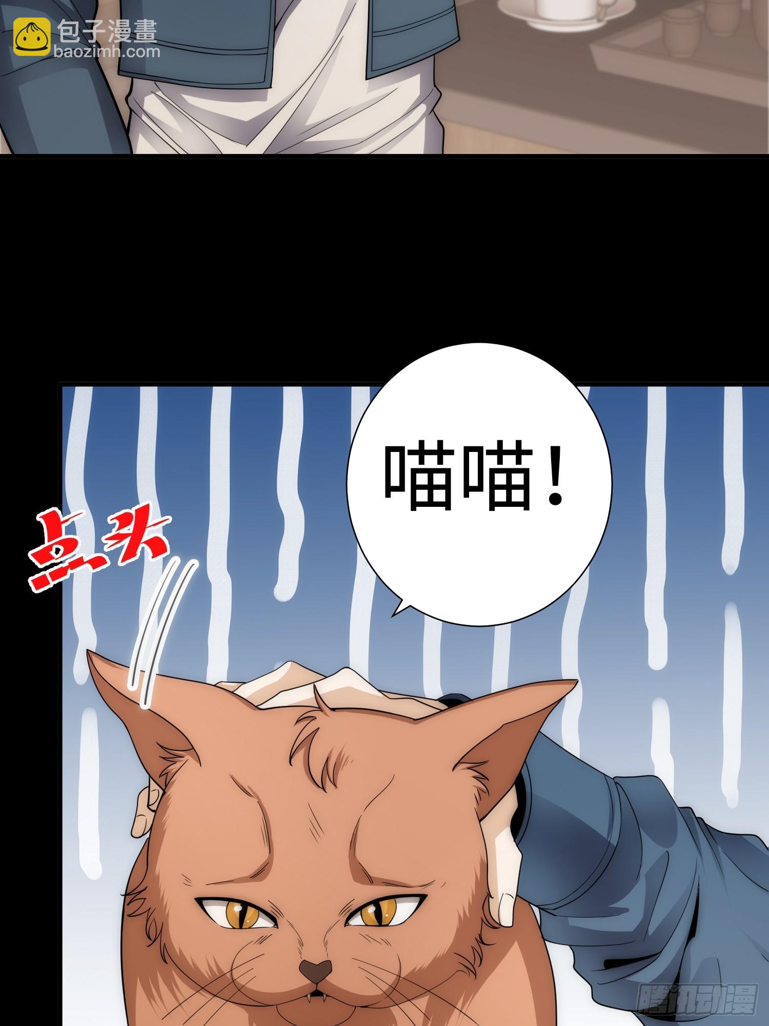 042 审判猫咪-第43话