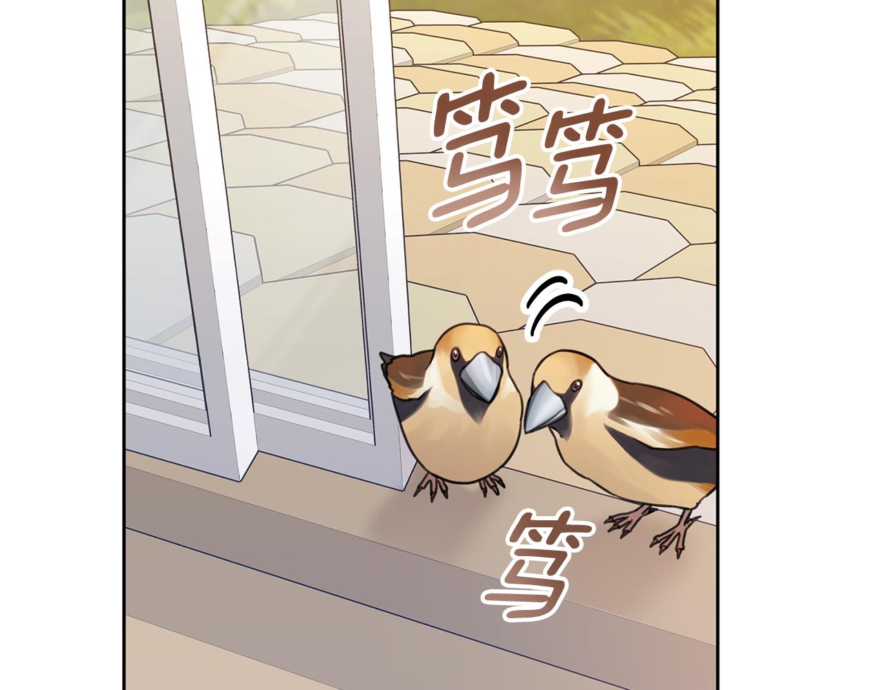 第63话 放弃摄影的理由(1/5)-第63话