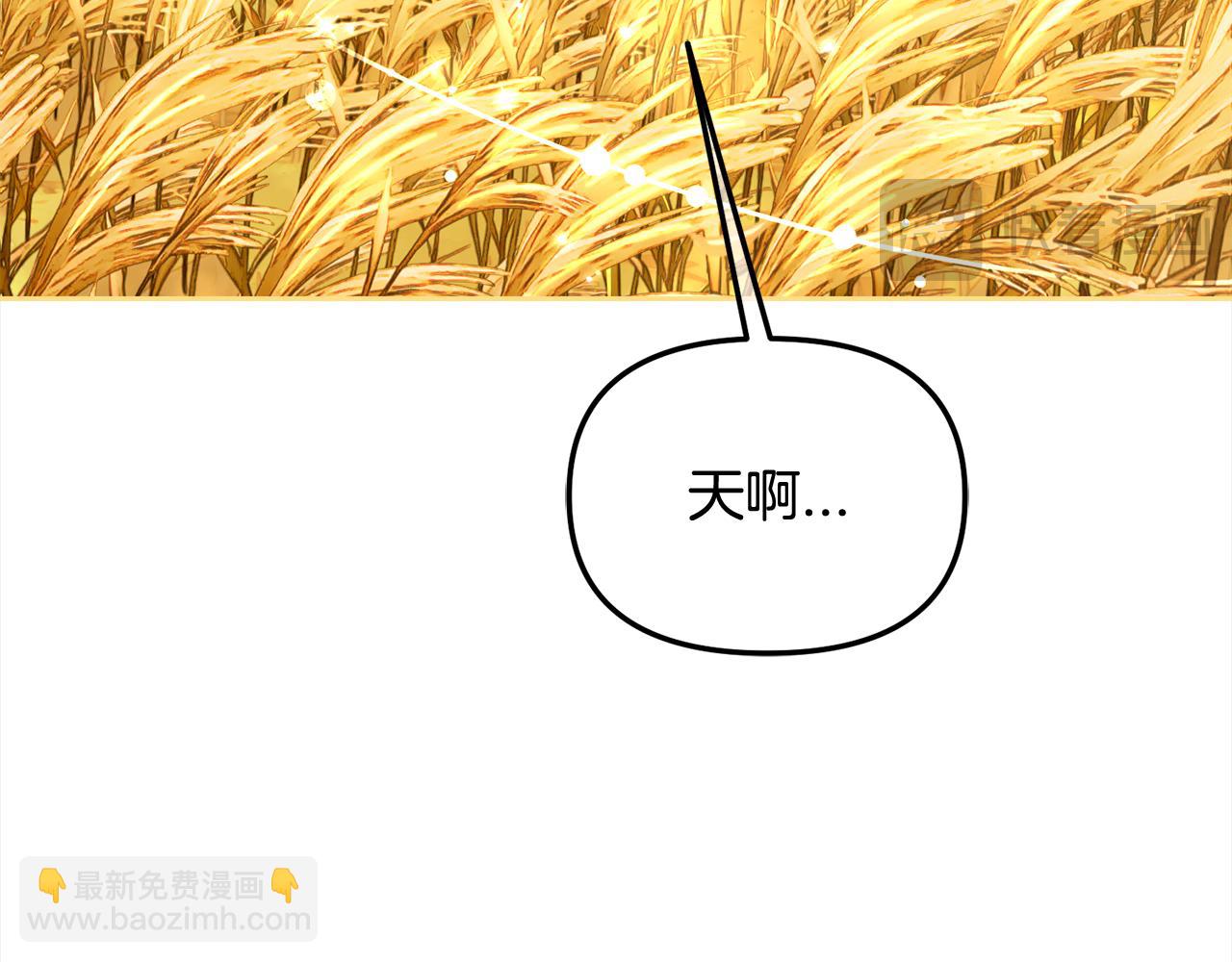 第47话  真正的黄金平原(1/4)-第47话