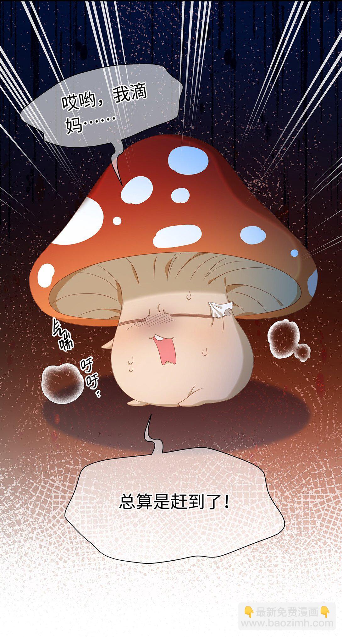 35 真正要欺骗的人-第37话