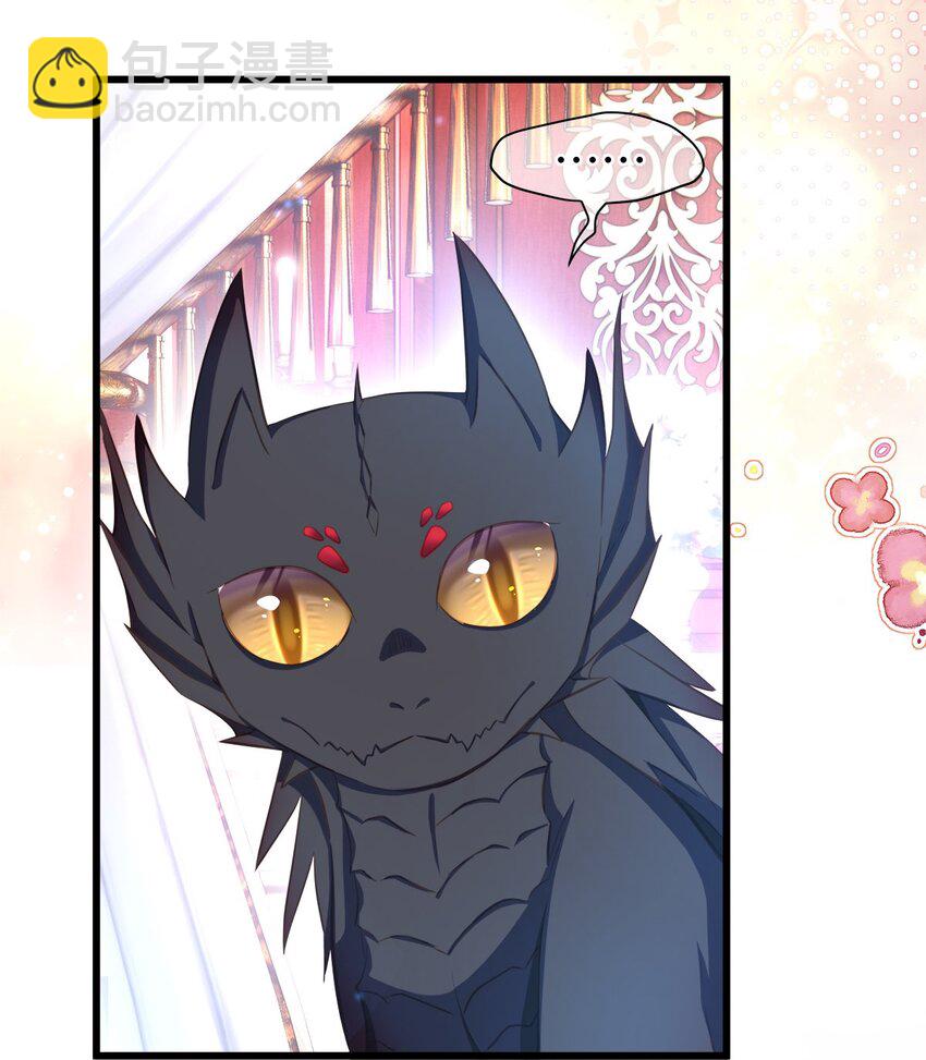 05 SSR一发入魂！-第5话