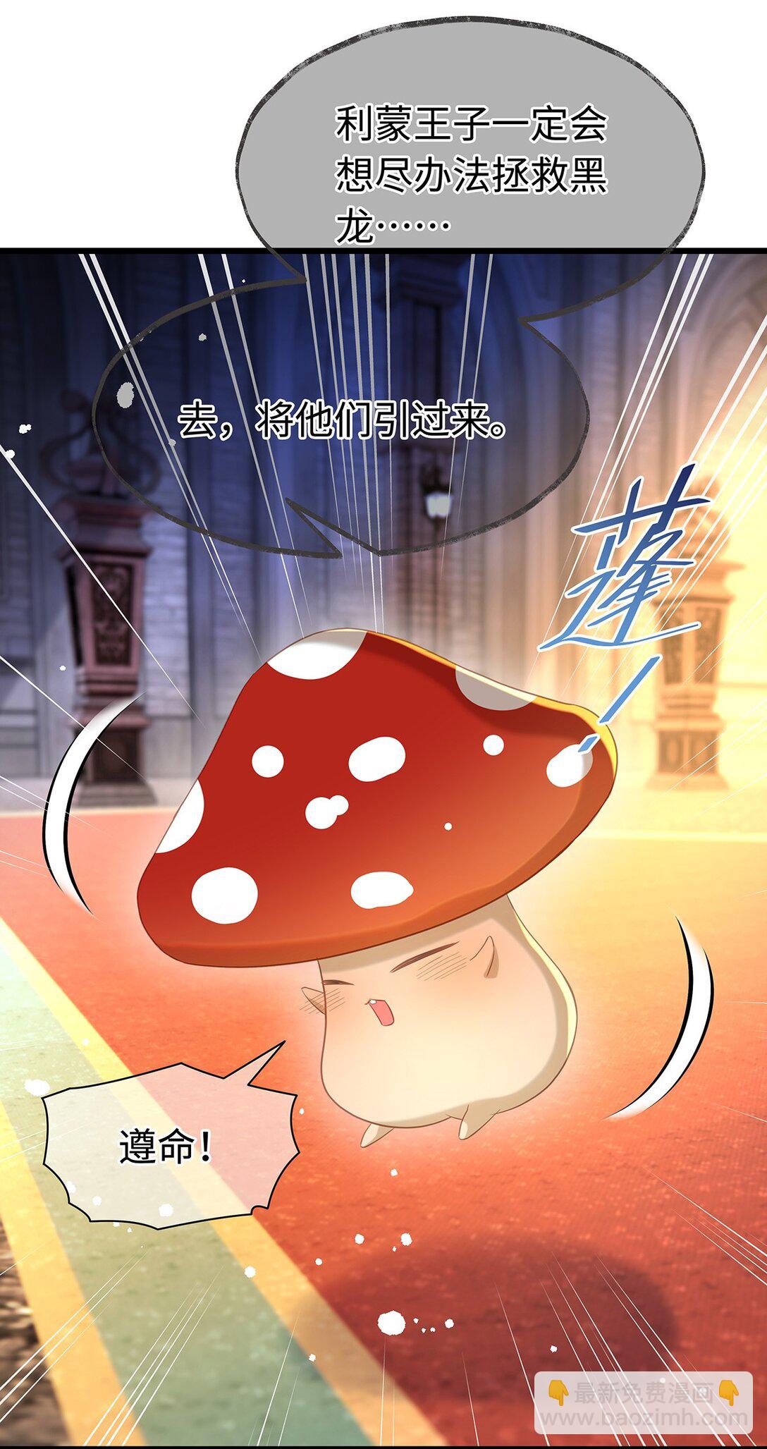 51 真假蘑菇-第53话