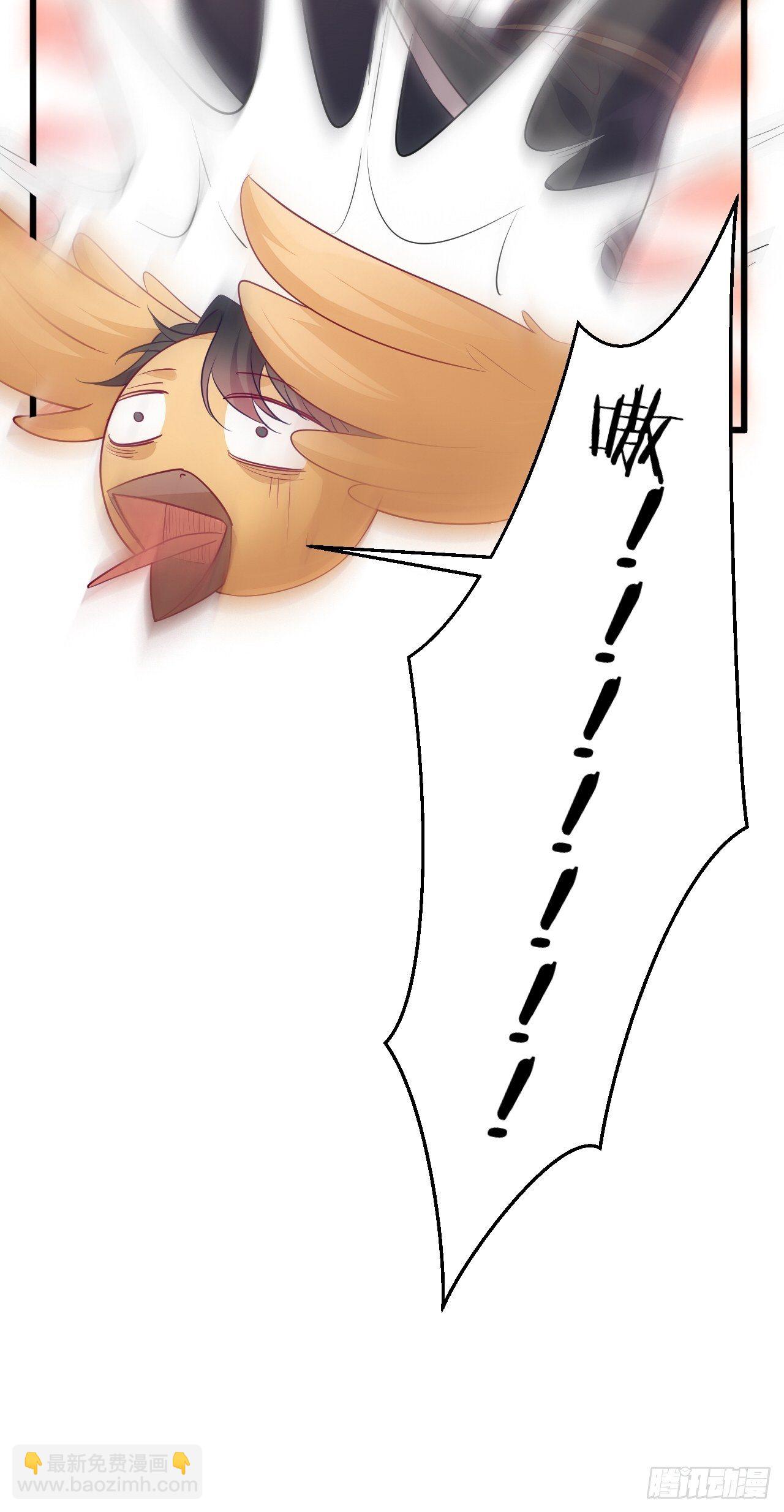 第1话(1/2)-第3话