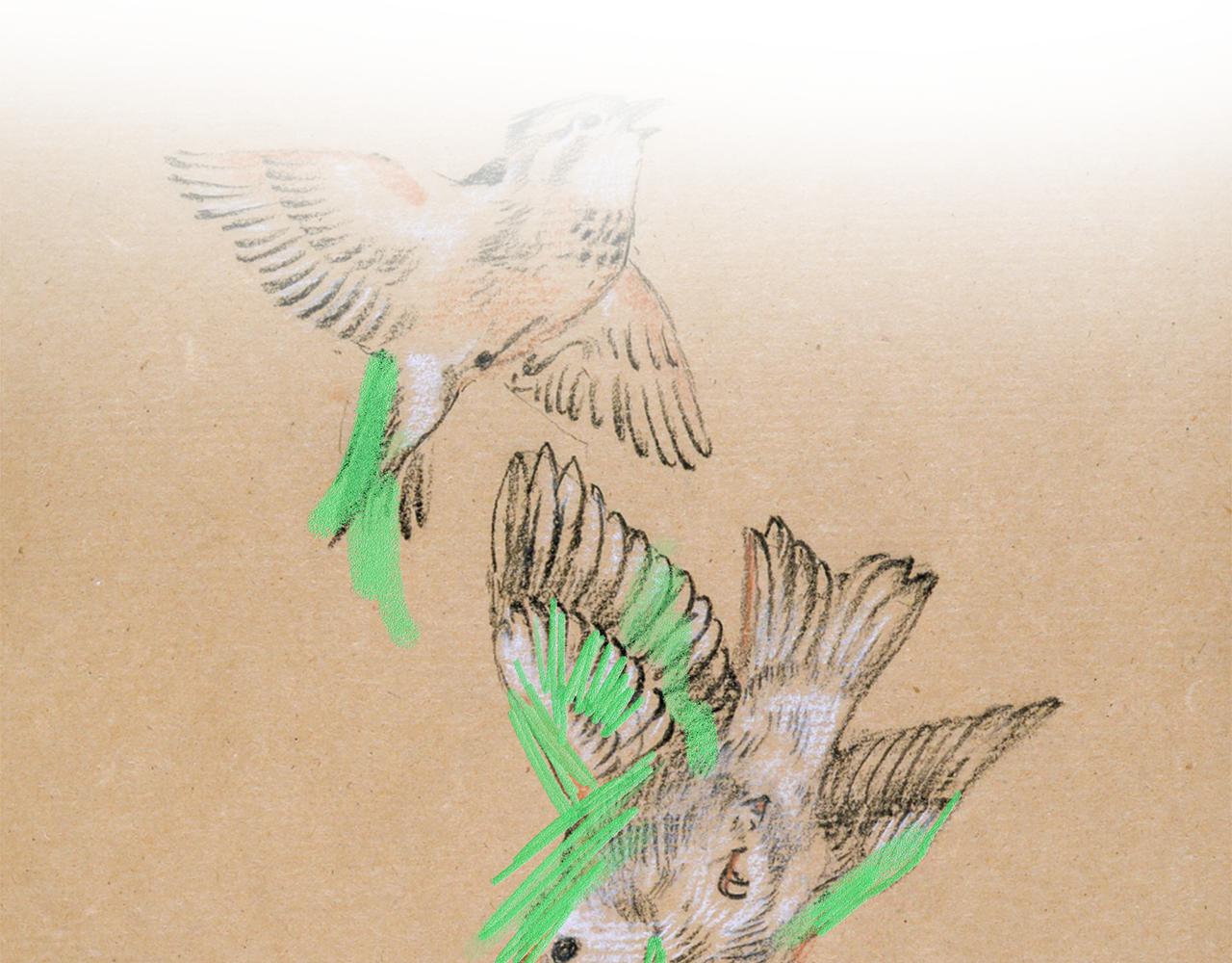 第28话  不算大事(1/3)-第29话