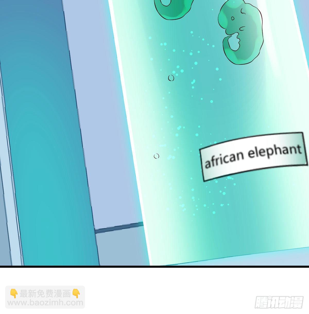 隐秘之地的隐秘之地(1/2)-第53话