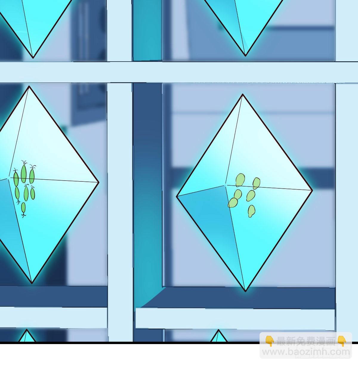 隐秘之地的隐秘之地(1/2)-第53话