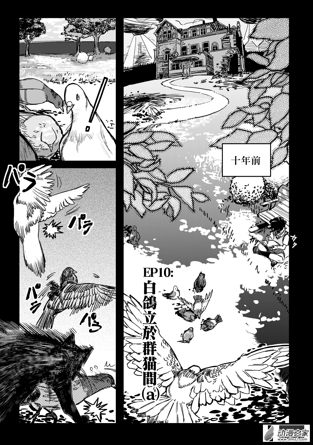 第10话 白鸽立于群猫间①-第19话