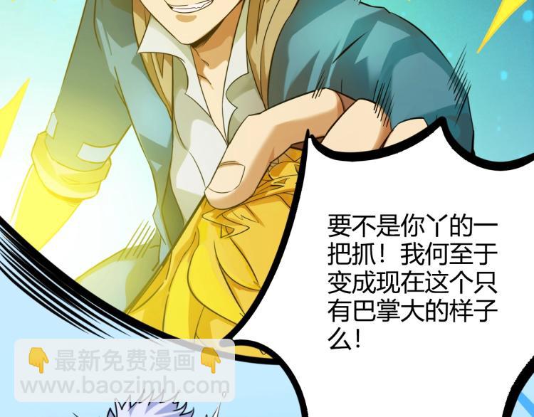 第5话 奇迹生还(1/4)-第5话