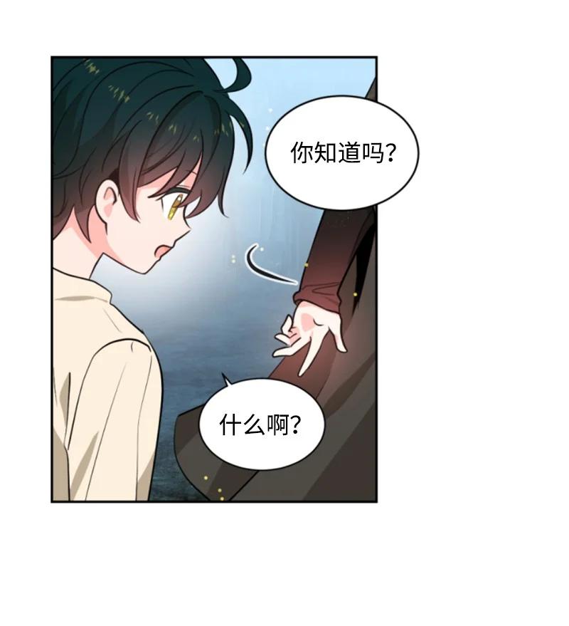 48 现实残酷(1/2)-第49话