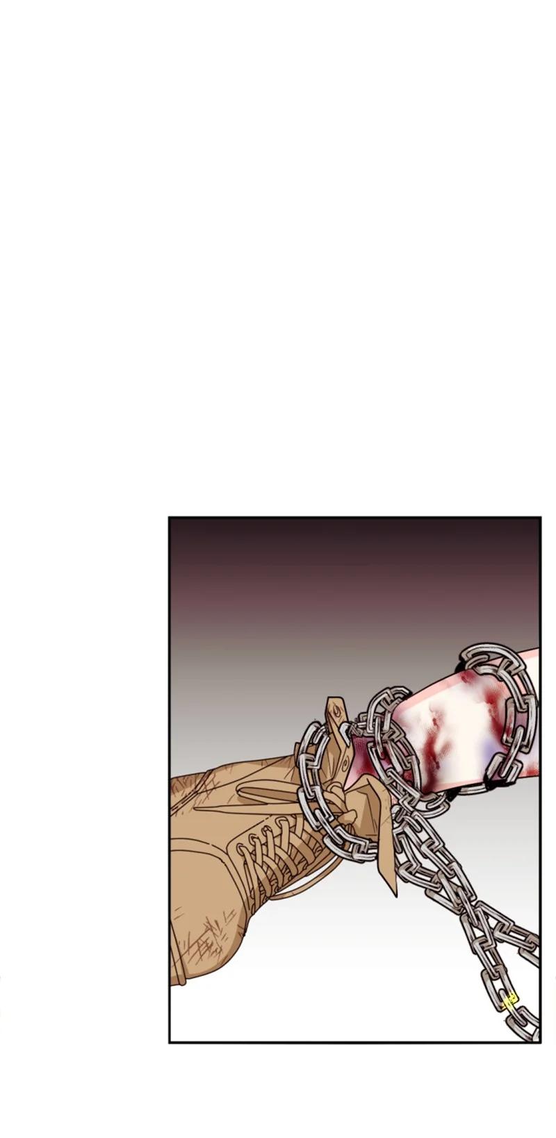 50 愿望成真(1/2)-第51话