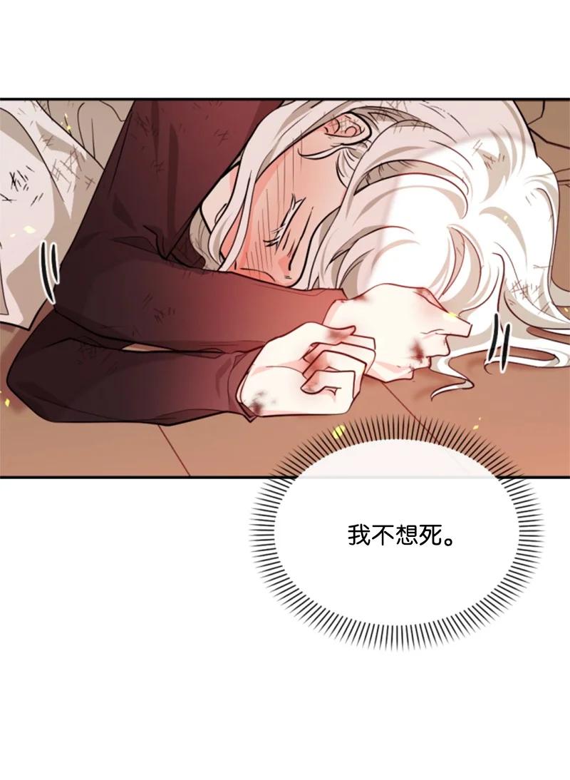 50 愿望成真(1/2)-第51话