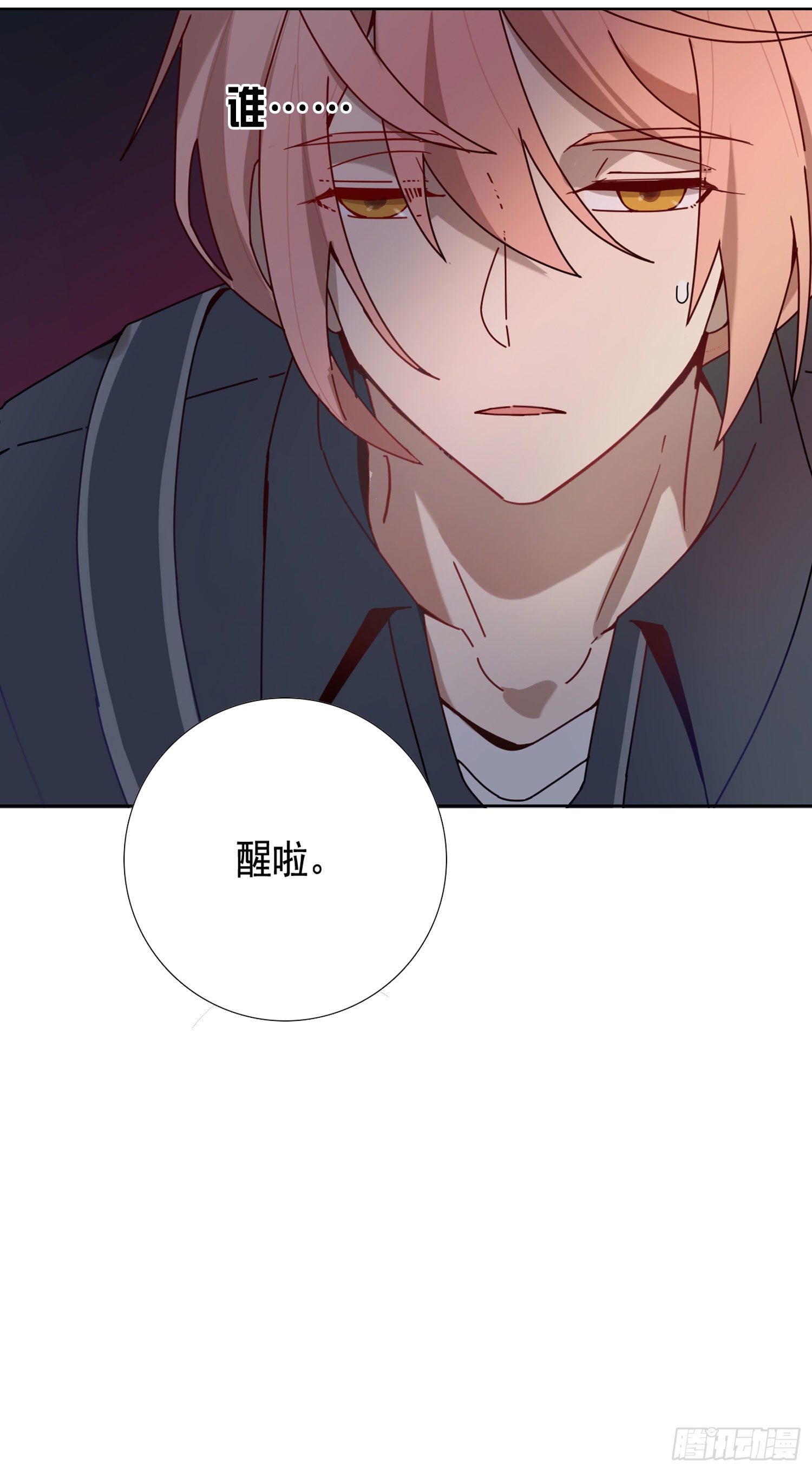 第13话 我就是法律本身-第15话