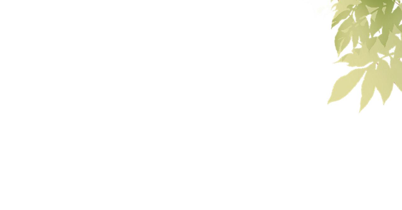 第44话 慈母多败儿(1/3)-第45话