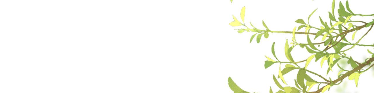 第54话 准备出山(1/2)-第55话