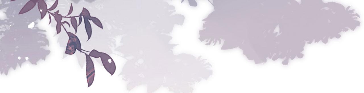 第94话 自做聪明(1/2)-第95话