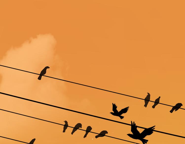 第一话(1/12)-第1话