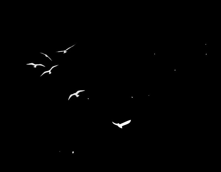 第三话 邀约(1/3)-第3话