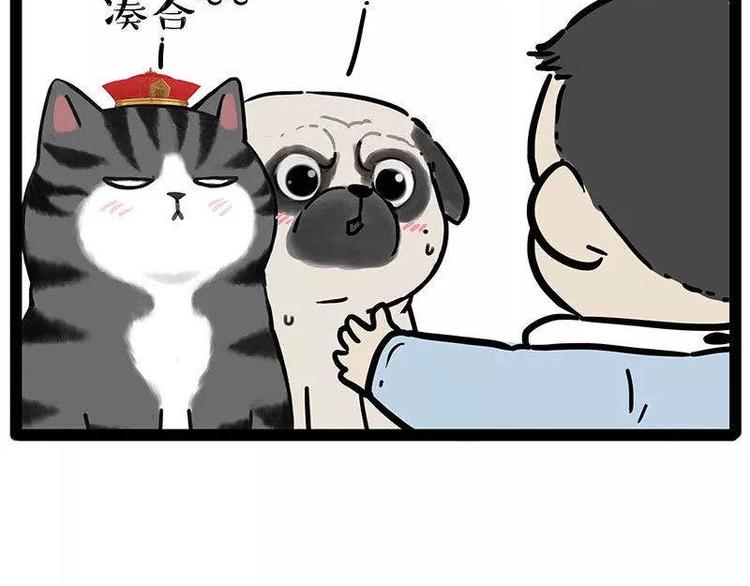 吾皇巴扎黑 - 第191话 猫猫无证看孩子？！(1/2) - 8