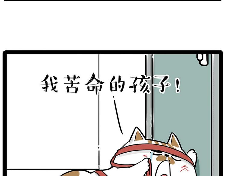 吾皇巴扎黑 - 第195話 人類，嚐嚐我的父愛(1/2) - 7