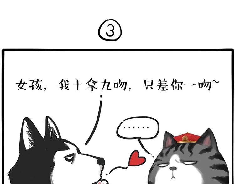 第197话 猫怼狗16