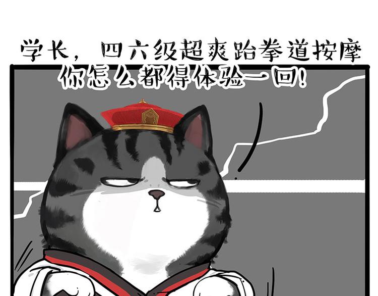 吾皇巴扎黑 - 第231話 防騙指南(1/2) - 1