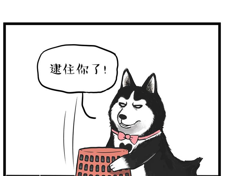 吾皇巴扎黑 - 第261話 滅蟑？ - 1