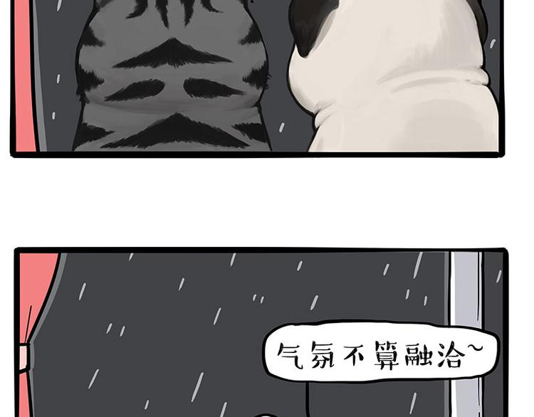 吾皇巴扎黑 - 第265話 雨夜“驚魂” - 3