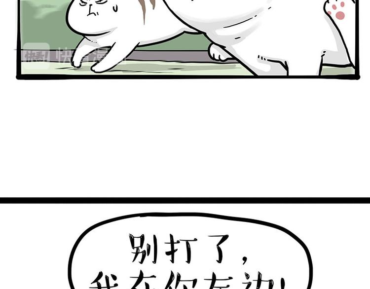 吾皇巴扎黑 - 第271话 进击的流浪猫！(1/2) - 5