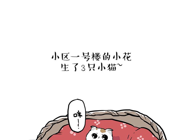 吾皇巴扎黑 - 第275话 吾皇过生日了 - 1