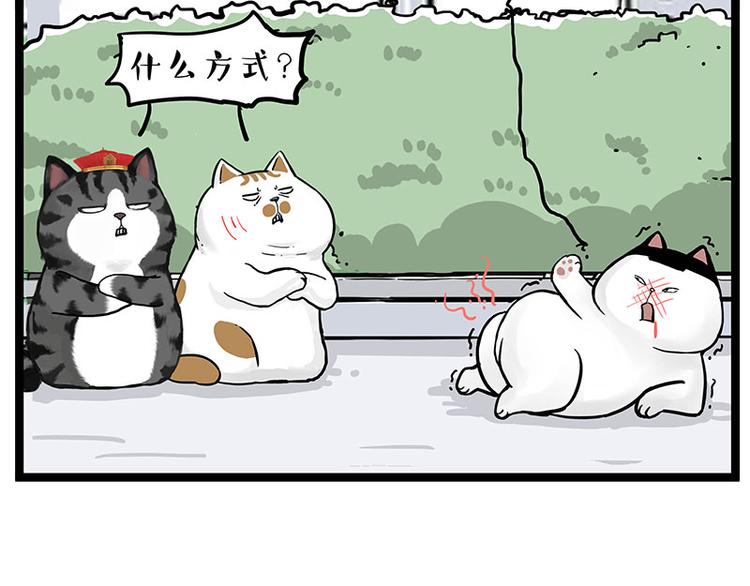 吾皇巴扎黑 - 第277话 猫斗猫 - 5