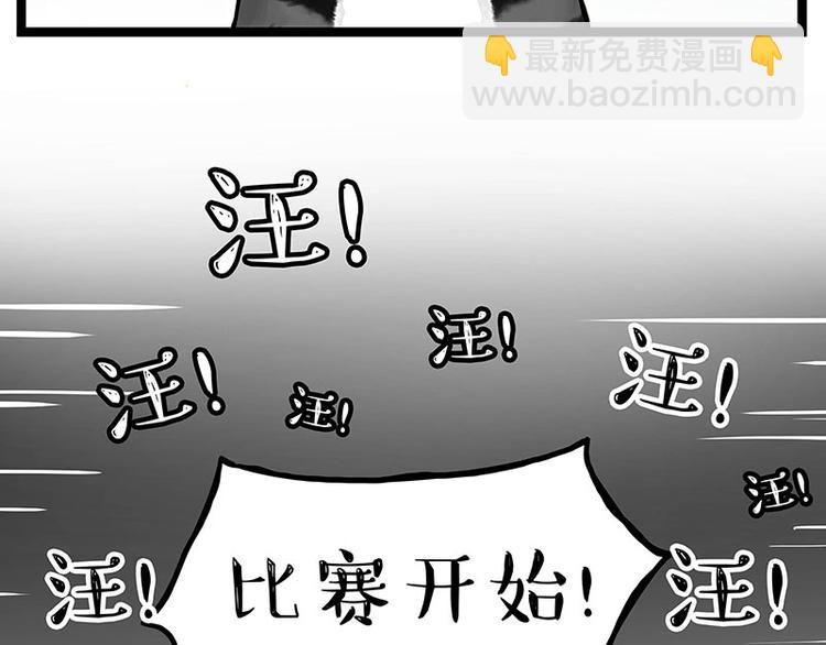 吾皇巴扎黑 - 第277話 貓鬥貓 - 1