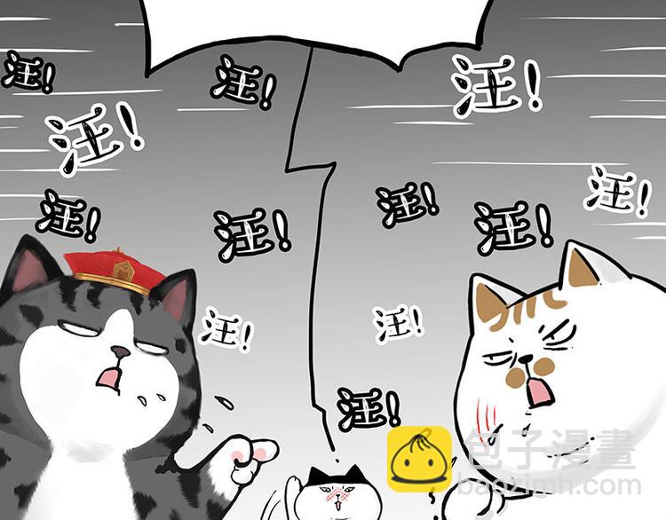 吾皇巴扎黑 - 第277话 猫斗猫 - 2