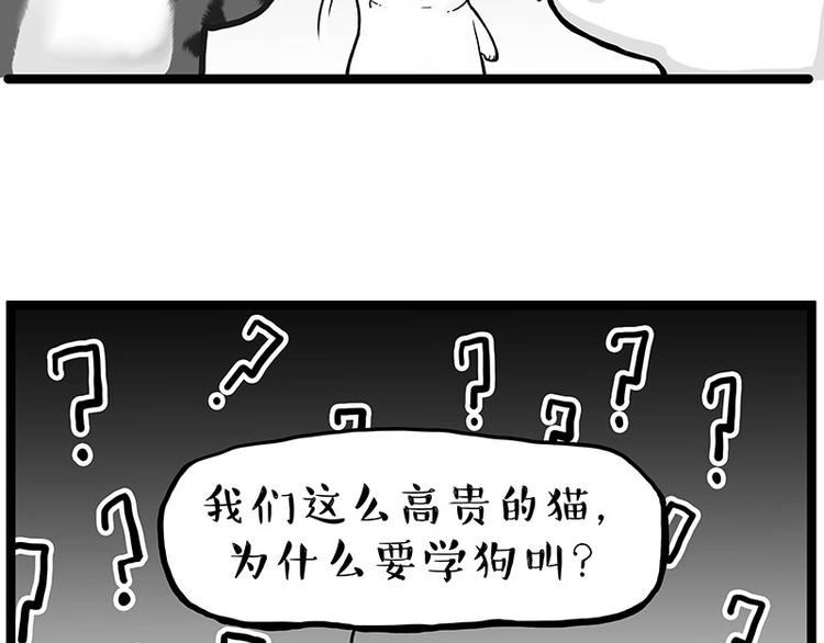 吾皇巴扎黑 - 第277话 猫斗猫 - 3