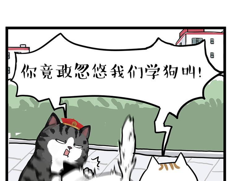 吾皇巴扎黑 - 第277话 猫斗猫 - 5