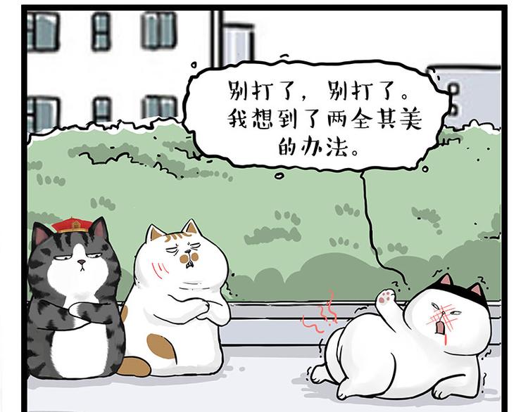 吾皇巴扎黑 - 第277话 猫斗猫 - 1